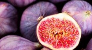 Right Storage Techniques Maintain Freshness of Figs Purchased from Distributors
