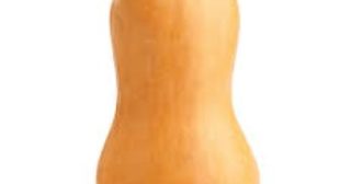Buy Butternut Squash from Suppliers to Try Delectable Dishes