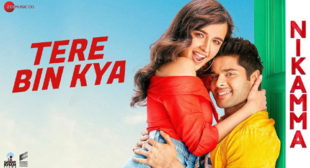 Tere Bin Kya Lyrics