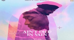 AIN’T DIED IN VAIN – Prem Dhillon
