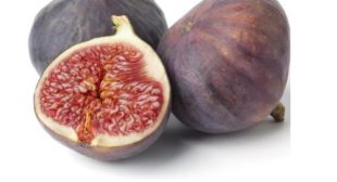 Trusted Fig Supplier For Extremely Beneficial Figs