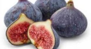 Fig Distributors A Saviour For Your Sweet Tooth