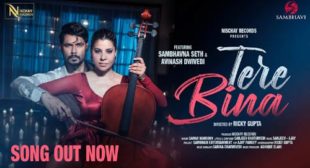 Tere Bina Lyrics – Sambhavna Seth