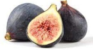 Get the delectable fruits with Fig distributors