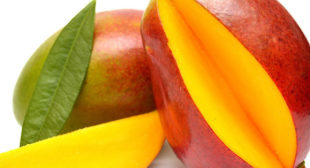 Enjoy the Finest Flavour of Mango with Mango Suppliers
