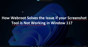 How To Resolve if your Screenshot Tool is Not Working in Window 11?