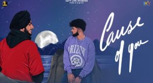 Cause Of You – Zehr Vibe Lyrics