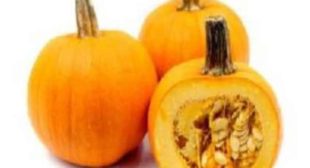 Taste the Unmatchable Varieties of Squash Flavour with Squash Suppliers