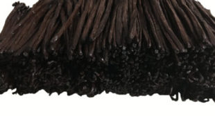 Enjoy the Rich and Aromatic Vanilla Flavor with Madagascar Vanilla Beans Enjoy the Rich and Aromatic Vanilla Flavor with Madagascar Vanilla Beans