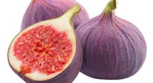 Maintain Your Health Conditions with Fig distributors