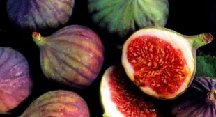 Make Delectable Dishes with Figs from Fig distributors