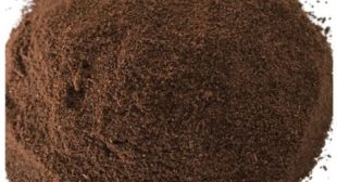 Transport Yourself to Another Era with Vanilla Bean Powder Transport Yourself to Another Era with Vanilla Bean Powder