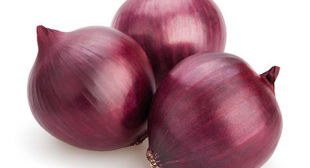 Get Remarkable Health Benefits with Onion Suppliers