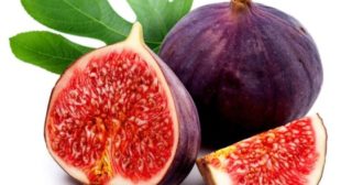 Get Healthy Digestive System with Fig distributors