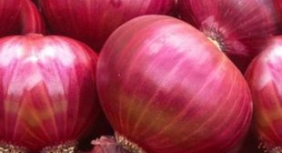 Get Access to Onions in Ease with Onion Suppliers