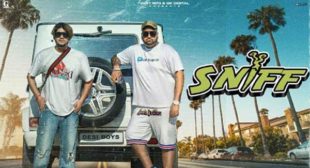 Sniff Lyrics