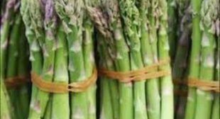 Get the Most Health benefits with the Help of Asparagus Suppliers