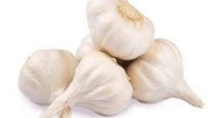 Improve your Heart and Circulation Method with Garlic Suppliers’ Help