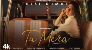 Tu Mera Lyrics by Tulsi Kumar