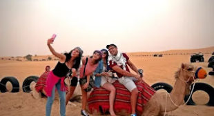 Best Desert camping in Dubai – Dubai royal safari.