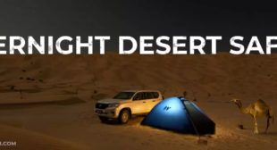 Best time to experience a desert safari in Dubai Best time to experience a desert safari in Dubai