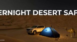 #1 Overnight Desert Safari | Desert Camping Dubai