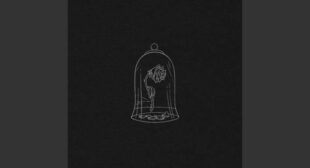 Beauty And A Freak Song Lyrics