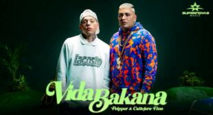 Vida Bakana (English Translation) Song Lyrics