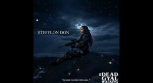 Dead Gyal Walking Lyrics – Stefflon Don