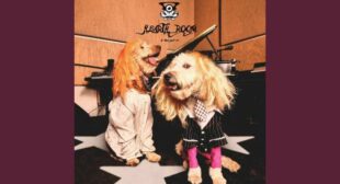 Got Me By The Tail Lyrics by Frost Children